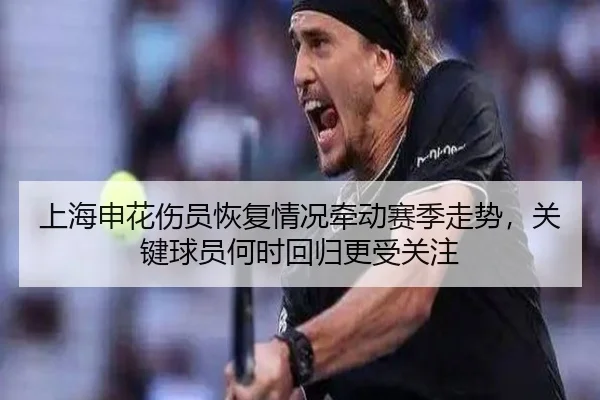 上海申花伤员恢复情况牵动赛季走势，关键球员何时回归更受关注